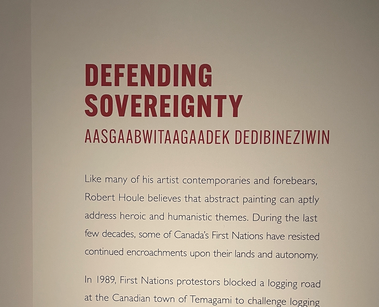 AASGAABWITAAGAADEK DEDIBINEZIWIN