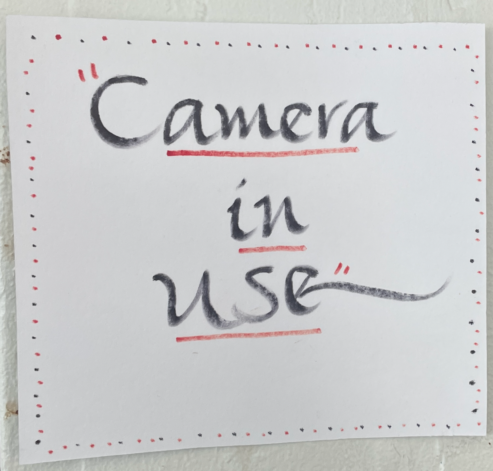 Camera in Use
