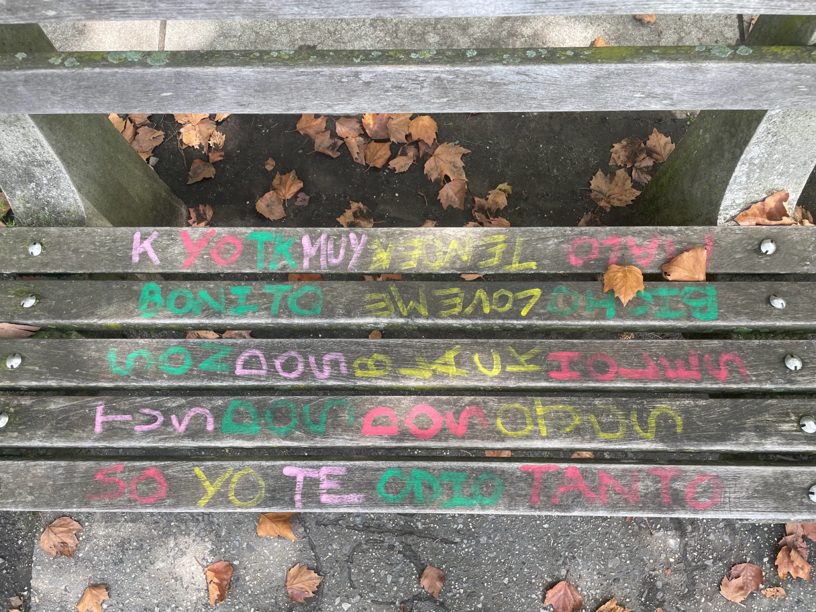 Riverside Park Bench