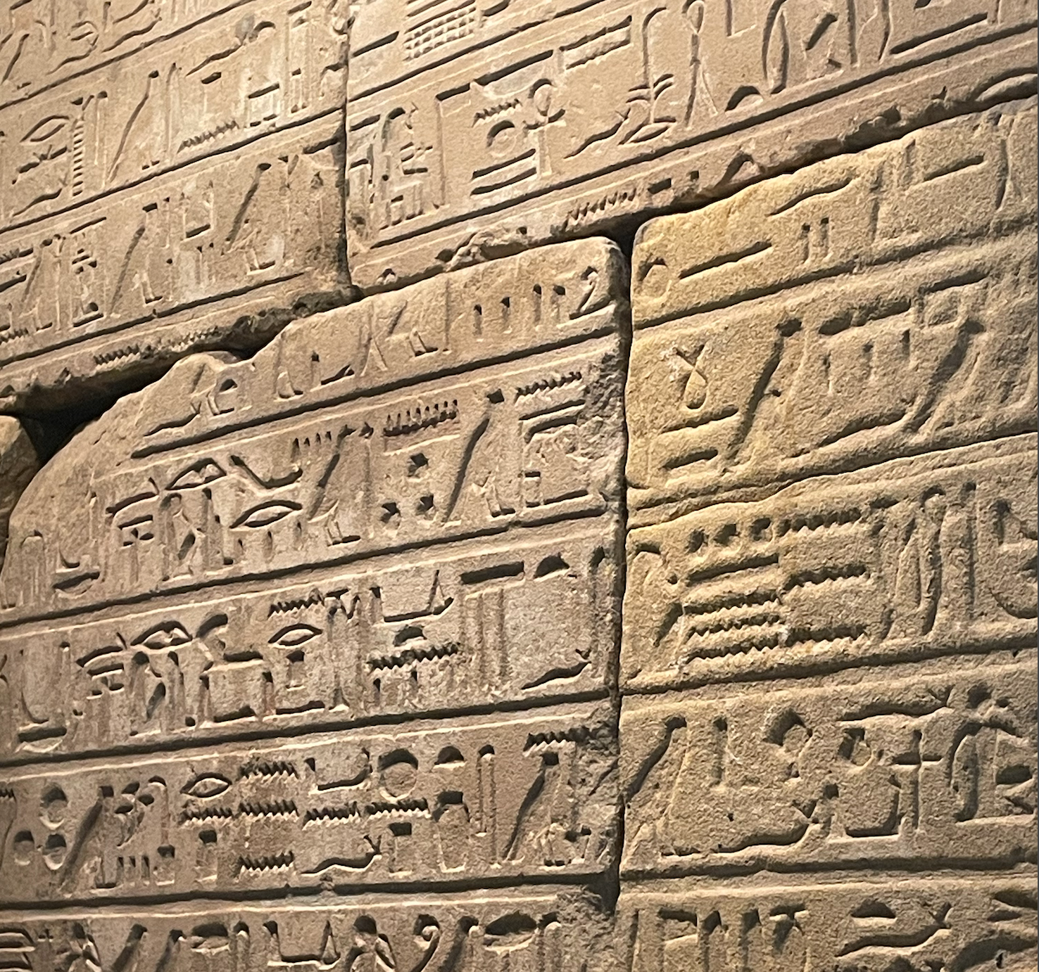 Ancient Egyptian Hieroglyphics
