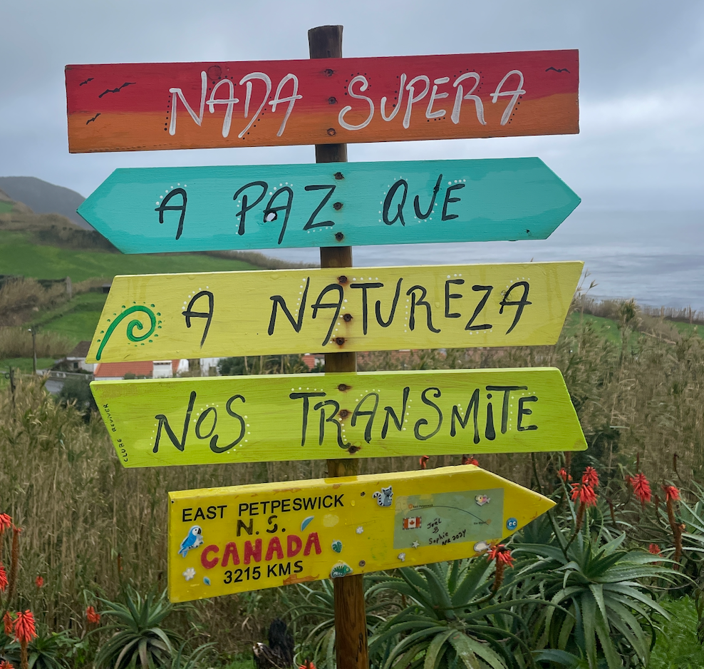 Nada Supera a Paz Que a Natureza Nos Transmite