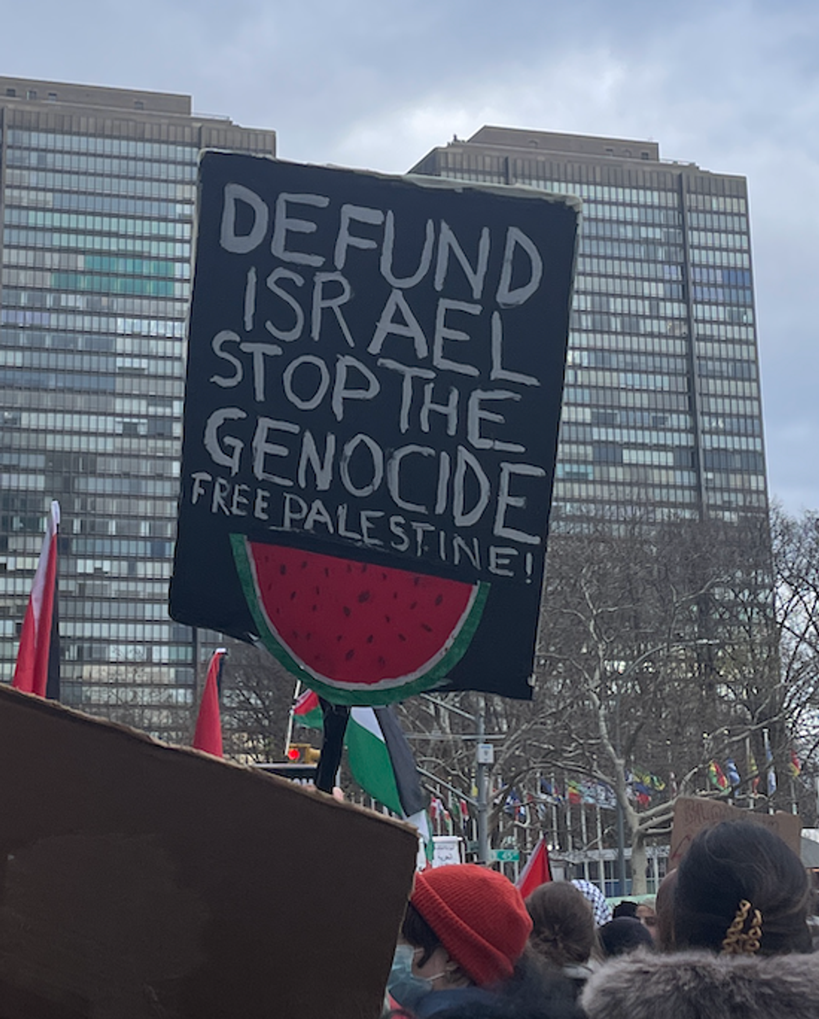 Defund Israel Stop the Genocide (2023)