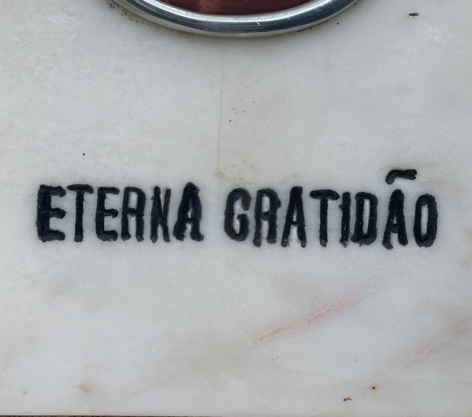 Eterna Gratidão