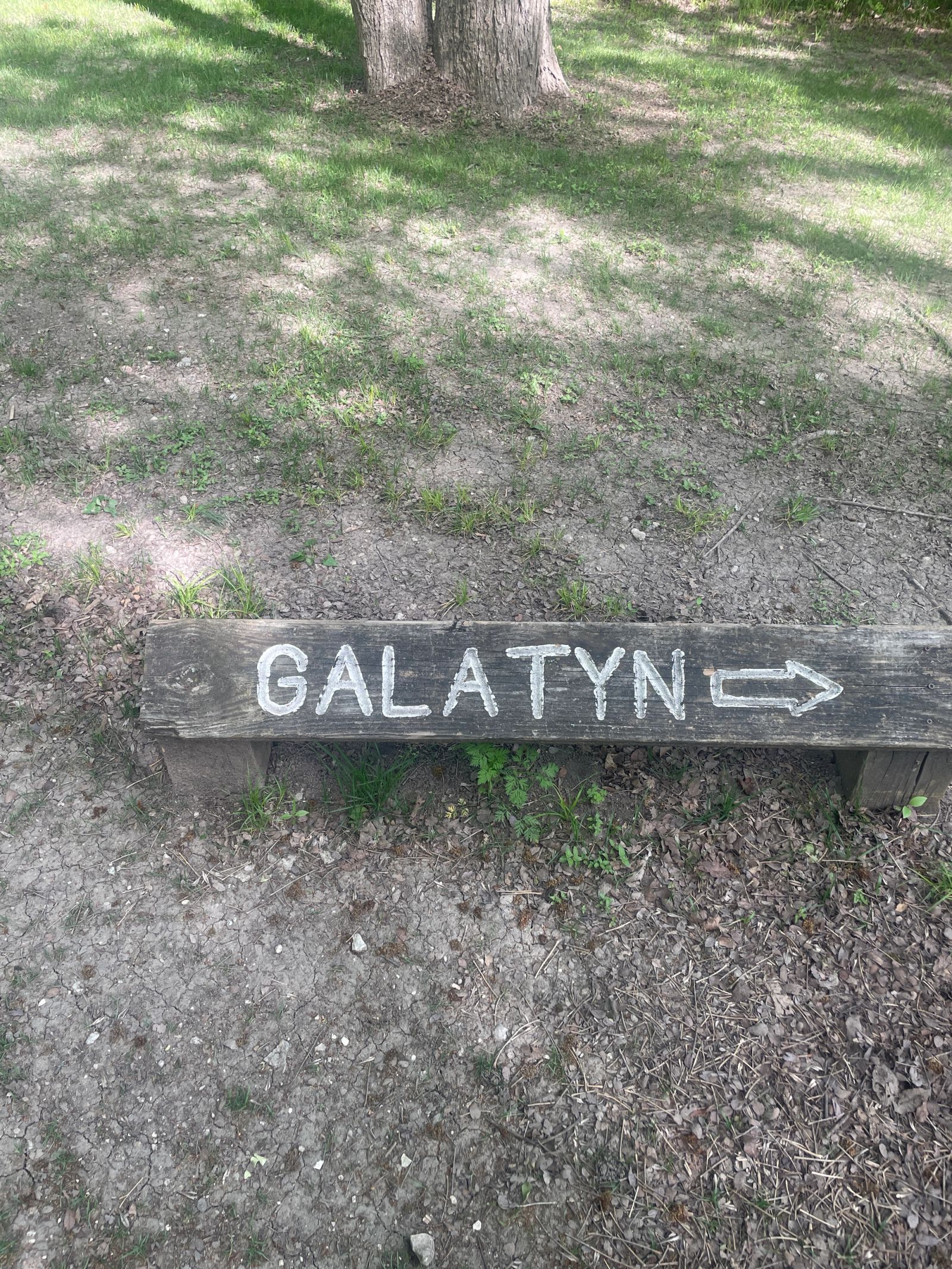 Galatyn