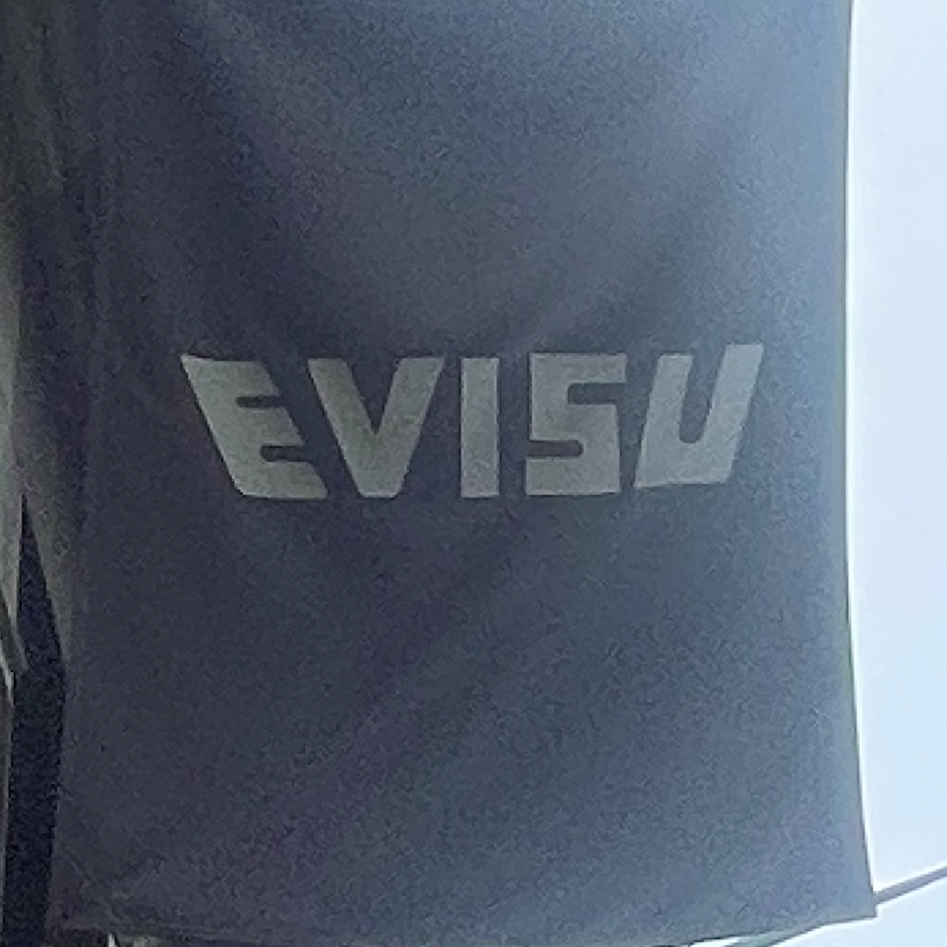 Evisu