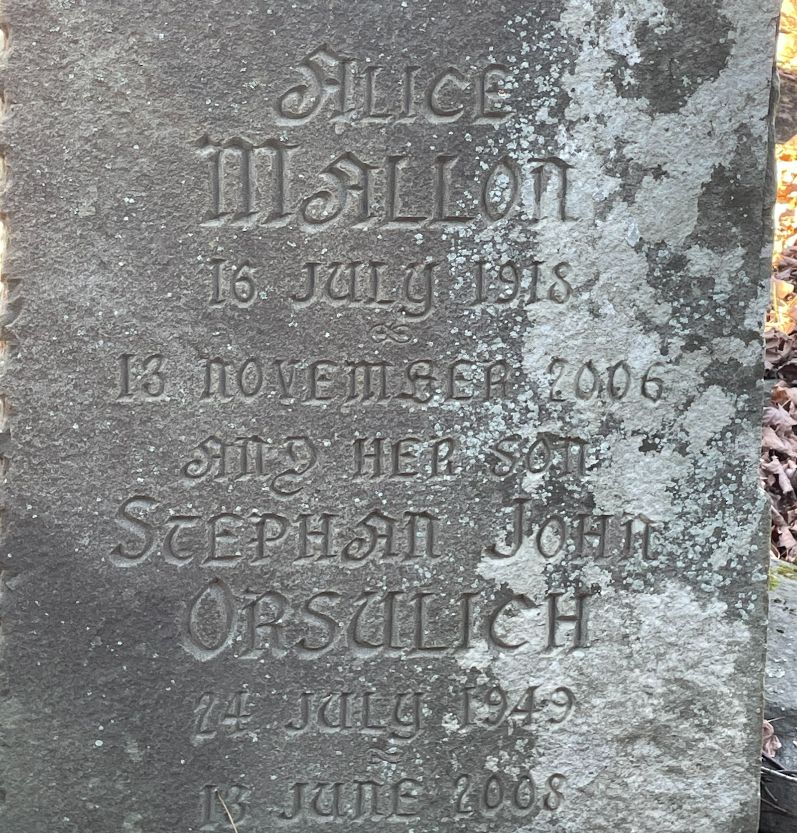 The Graves of Alice Mallon and Stephan John Orsulich (2006)