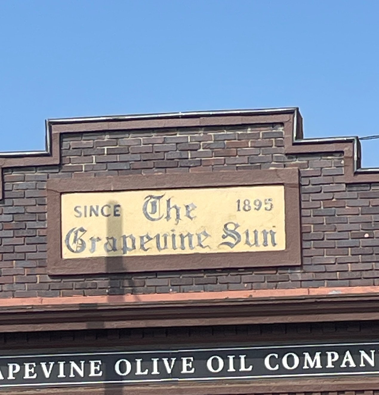 The Grapevine Sun (1895)