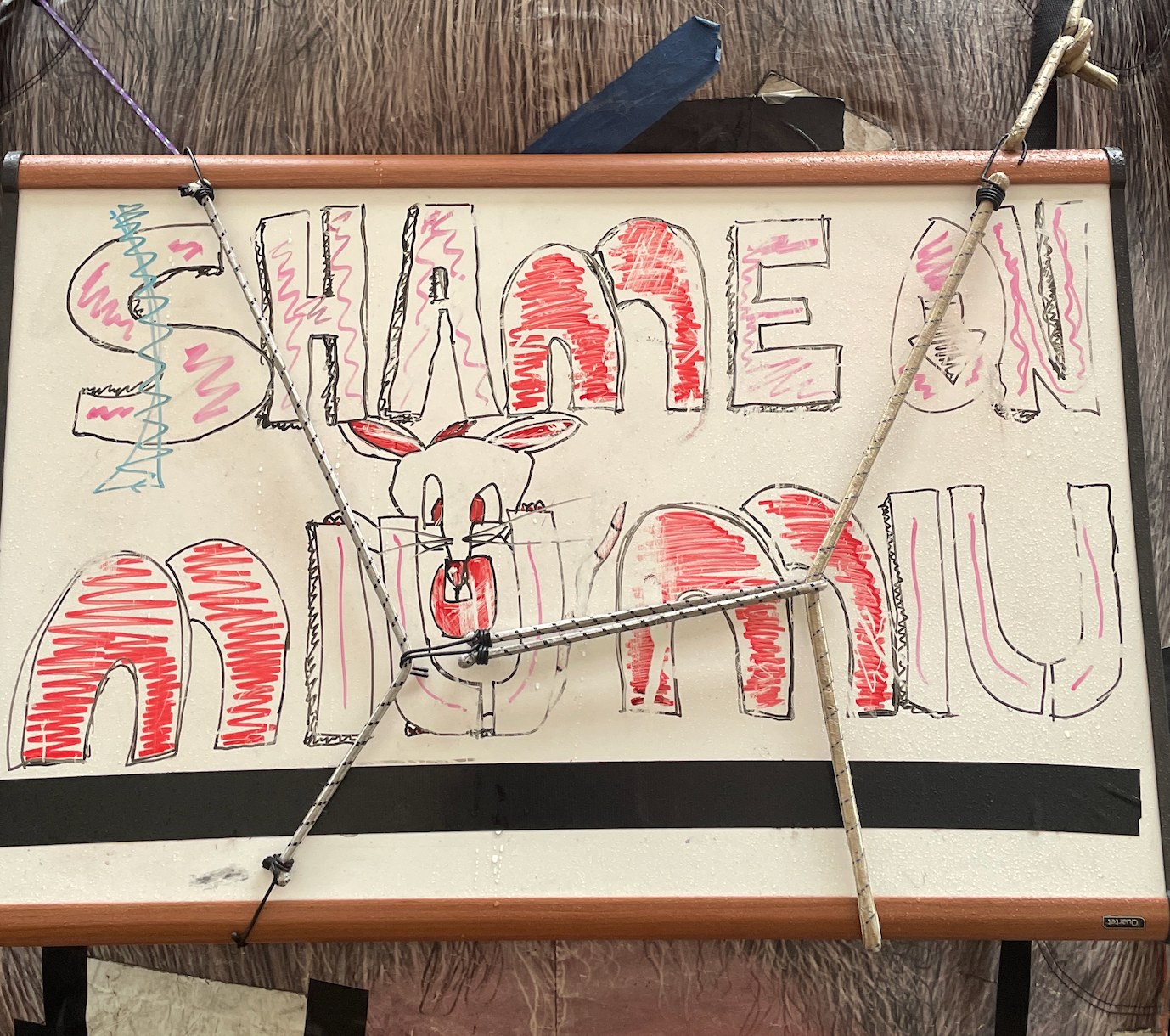 Shame on MiuMiu