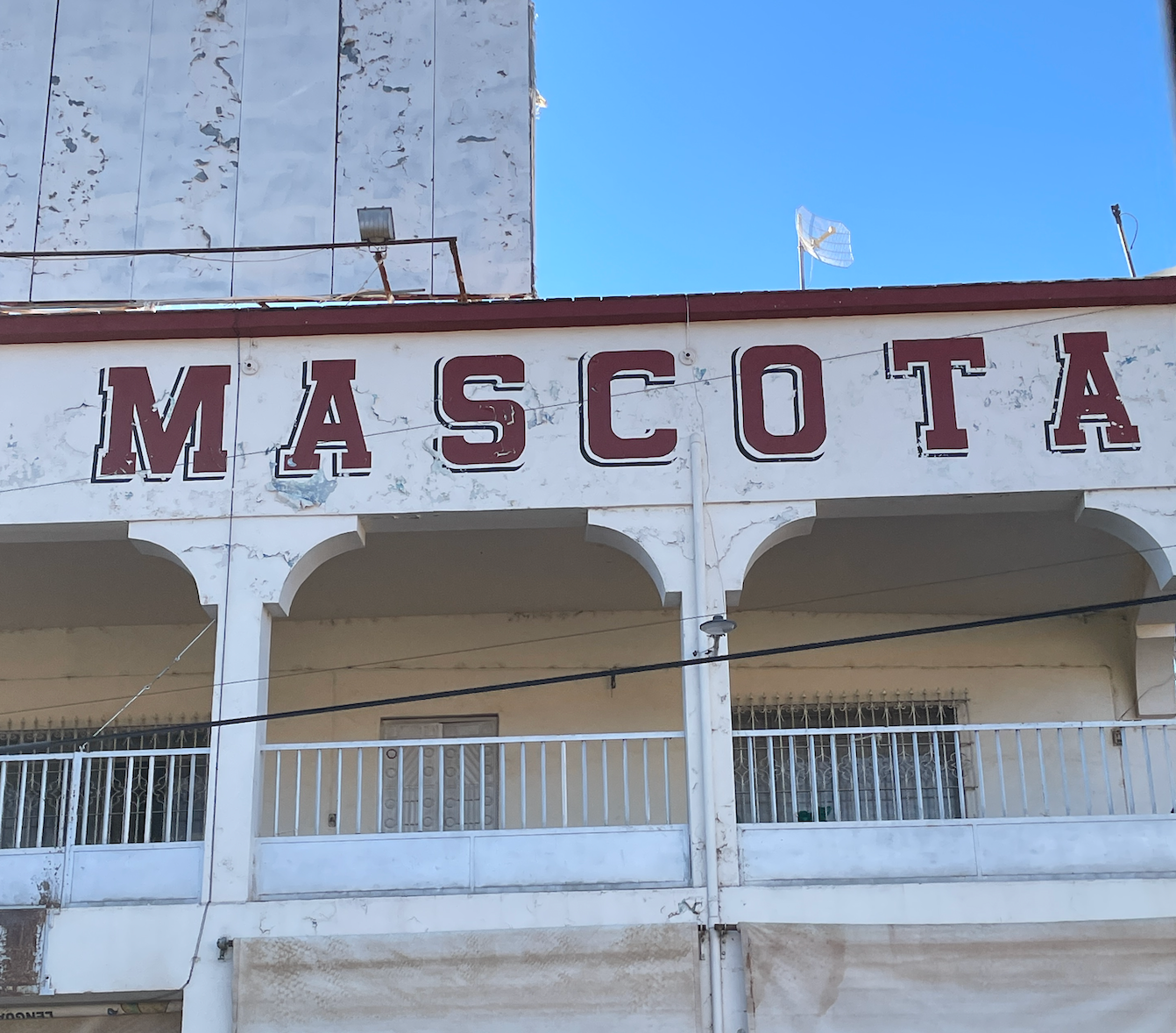 Mascota