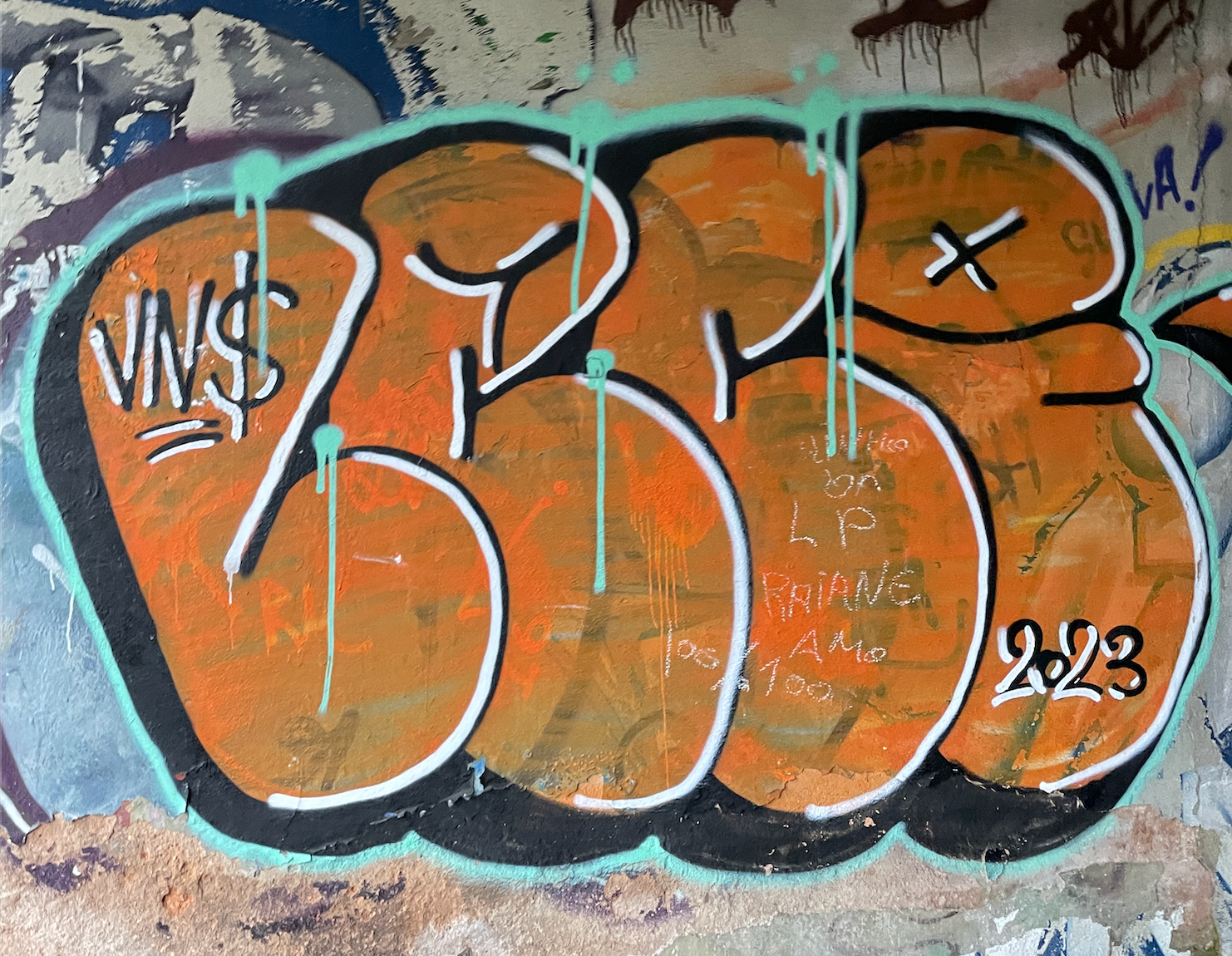 Leci