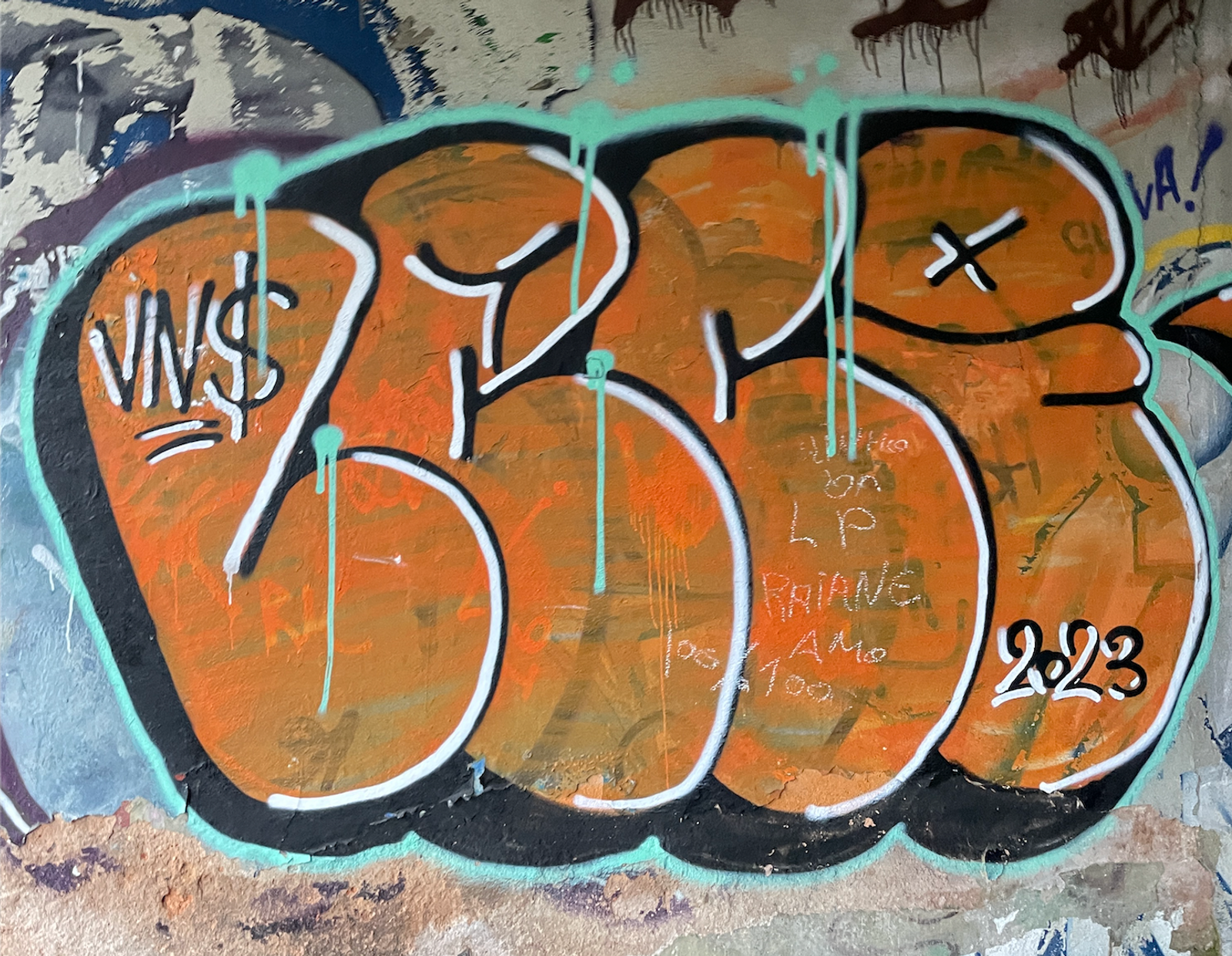 Leci