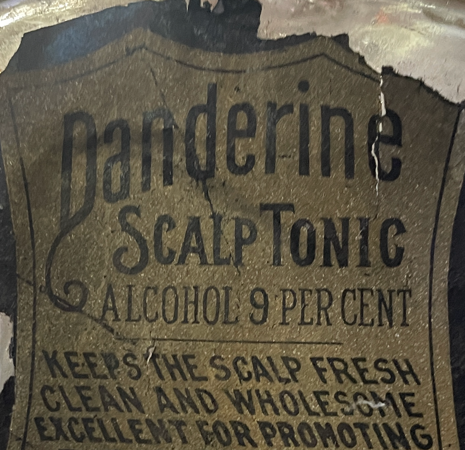 Panderine Scalp Tonic