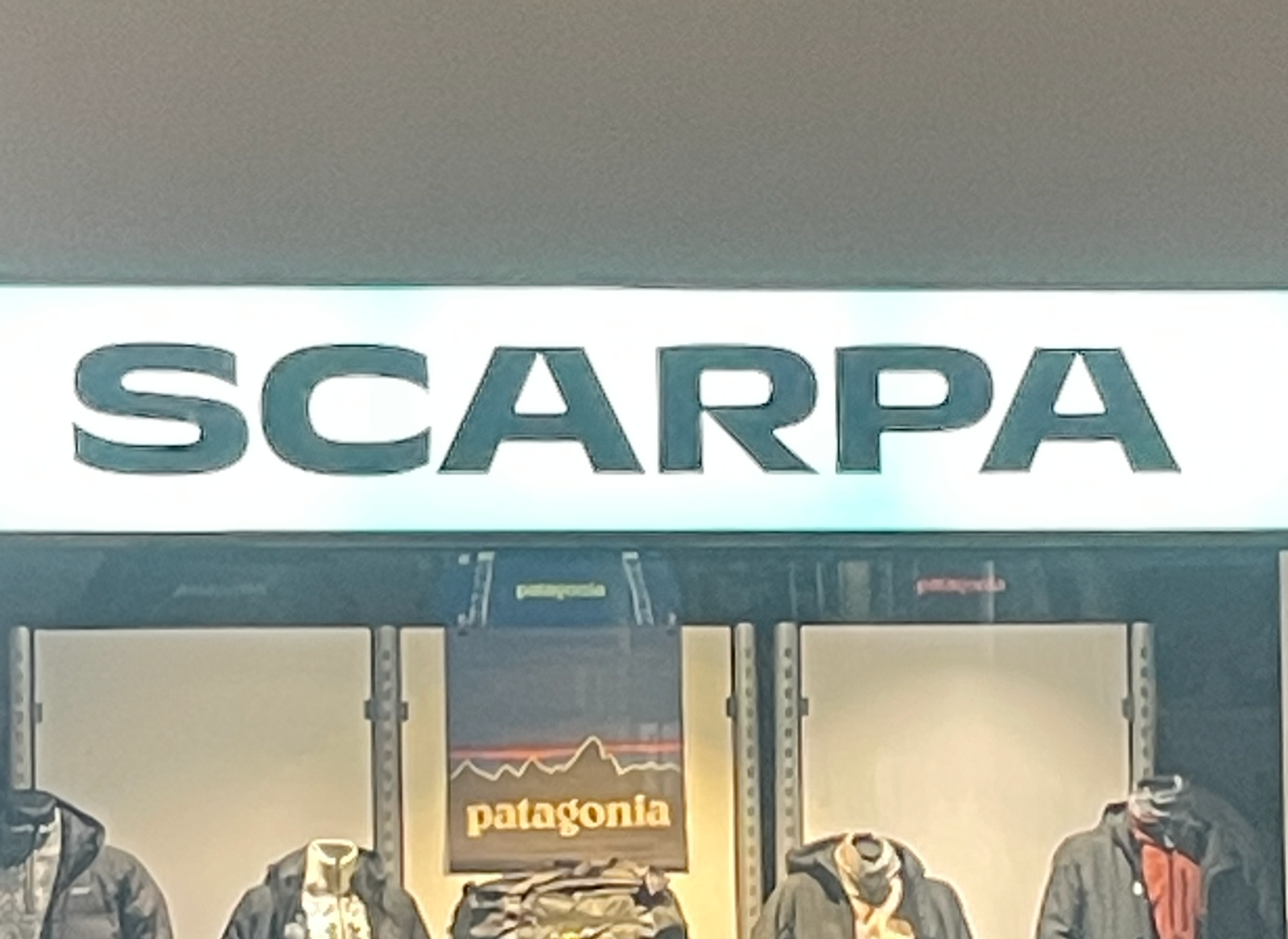 Scarpa
