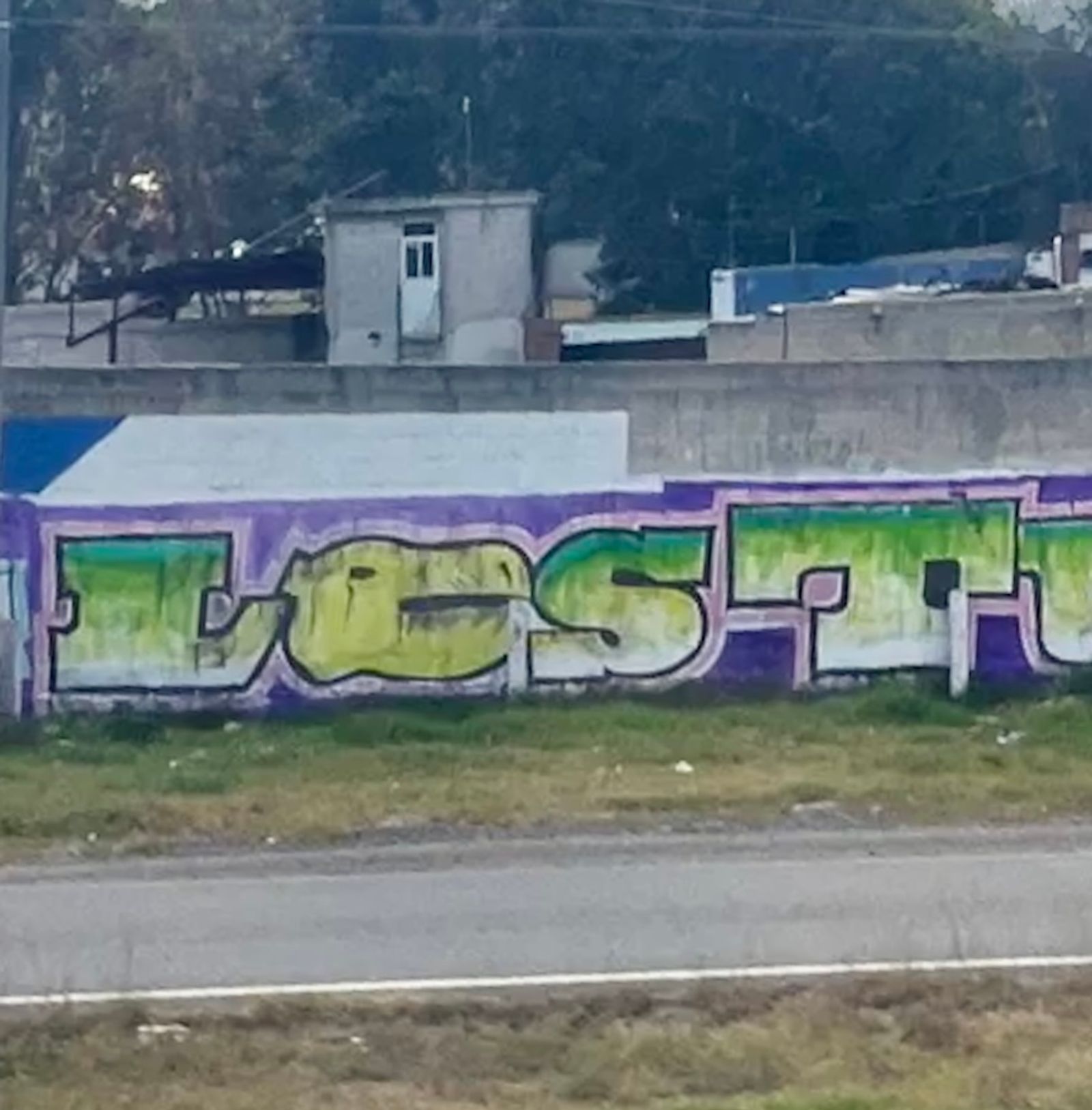 Les Tucanes