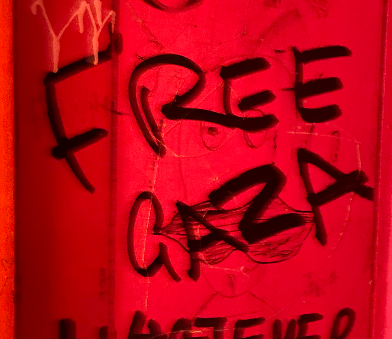 Free Gaza