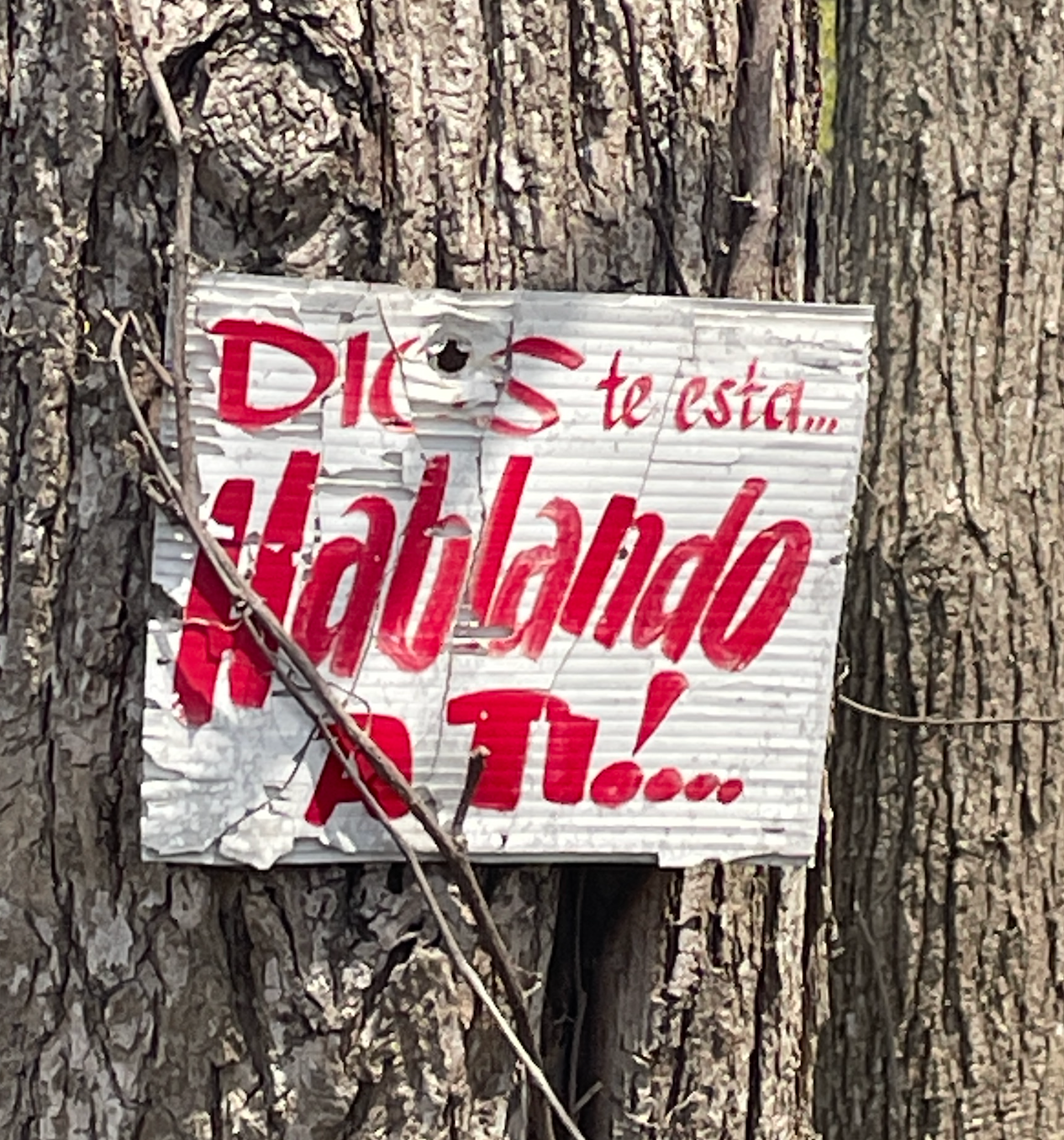 Dios te esta hablando a ti...