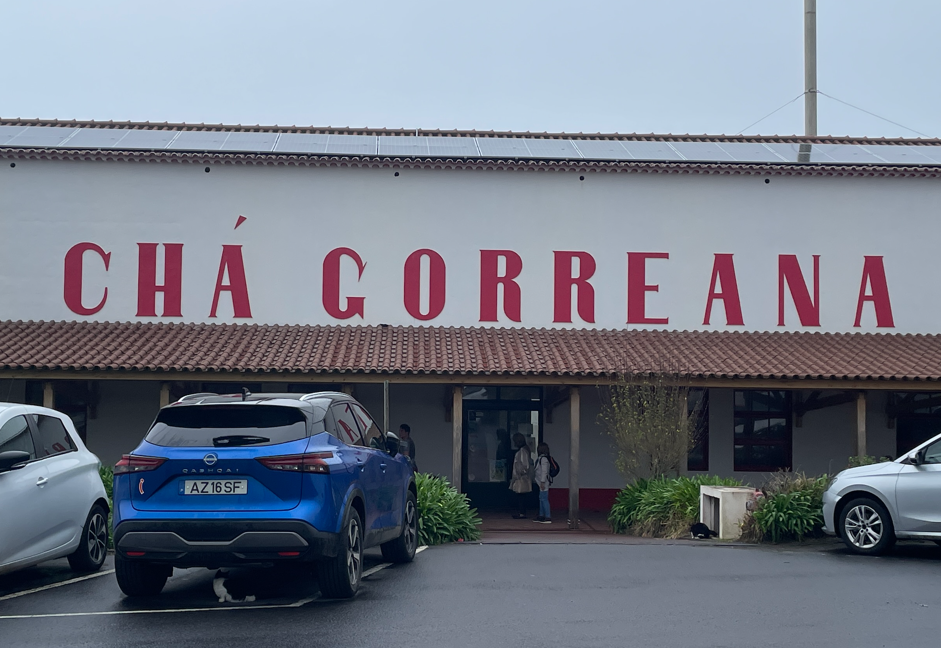 Cha Gorreana