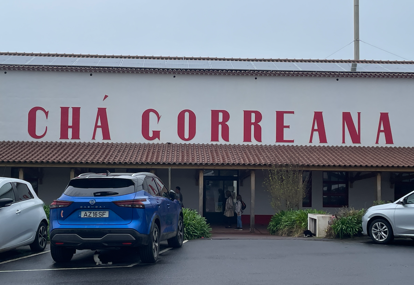 Cha Gorreana