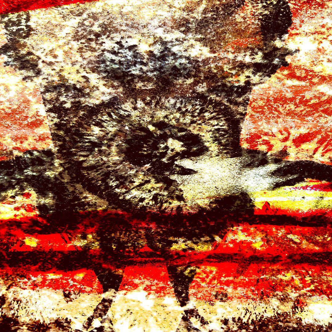 Pareidolia / w qanossonap