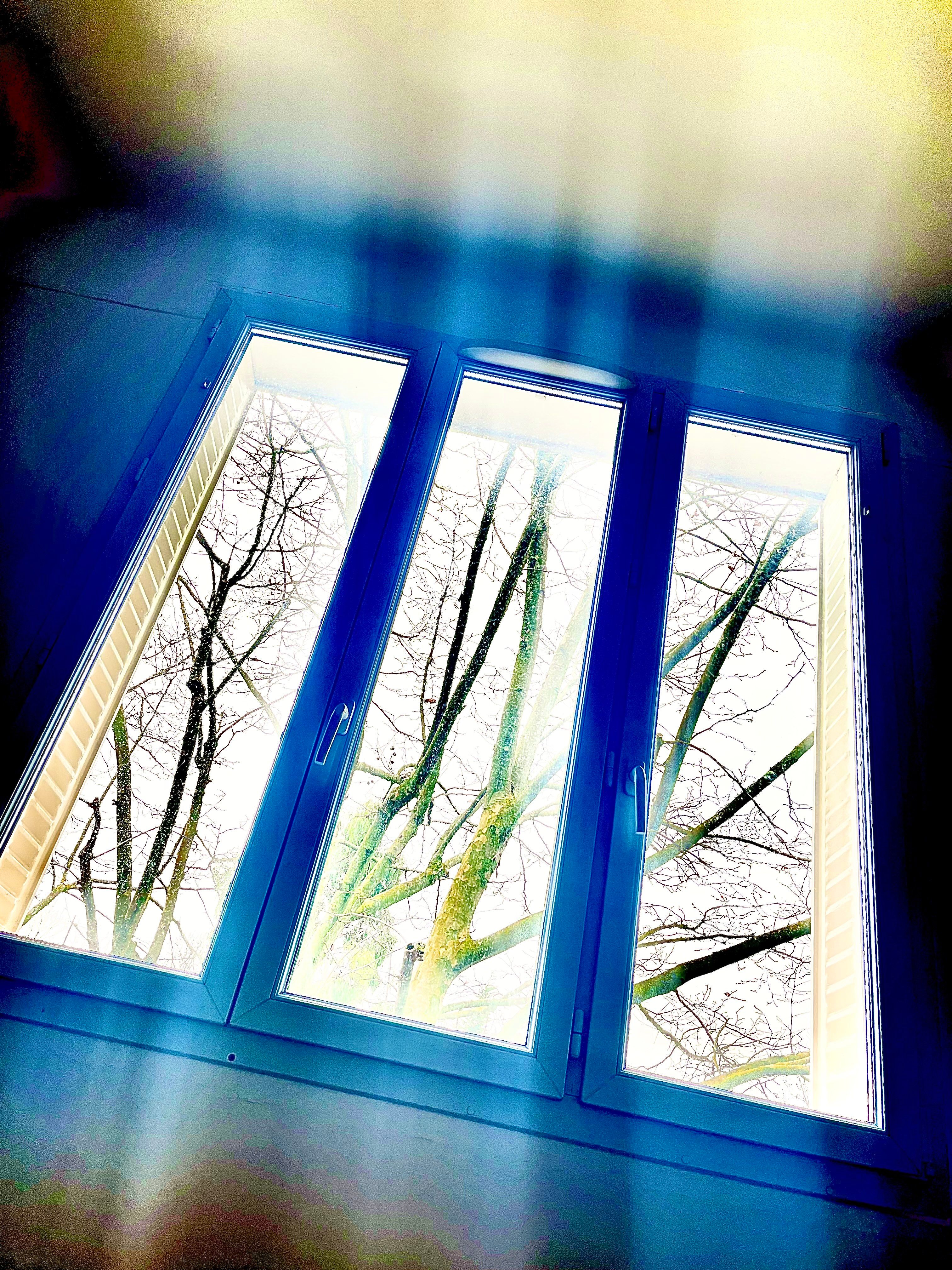 Poems for Flouka: Aramo