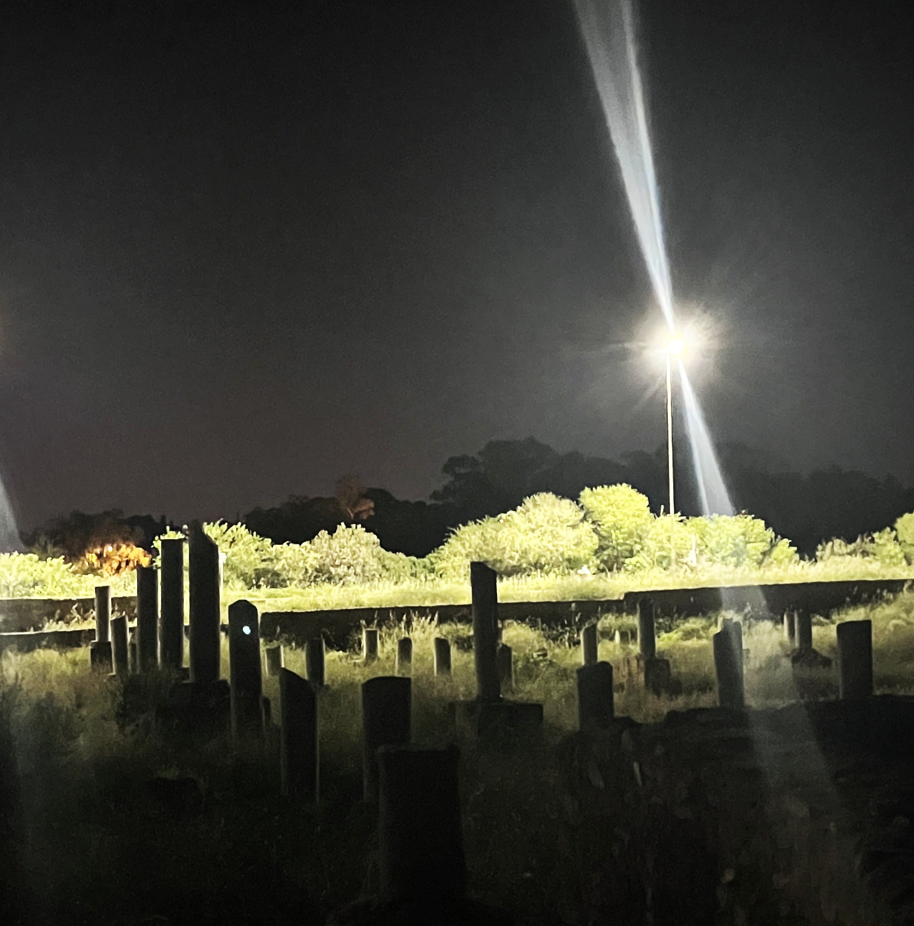 Dov Dov w/ Speedy invites Shakira