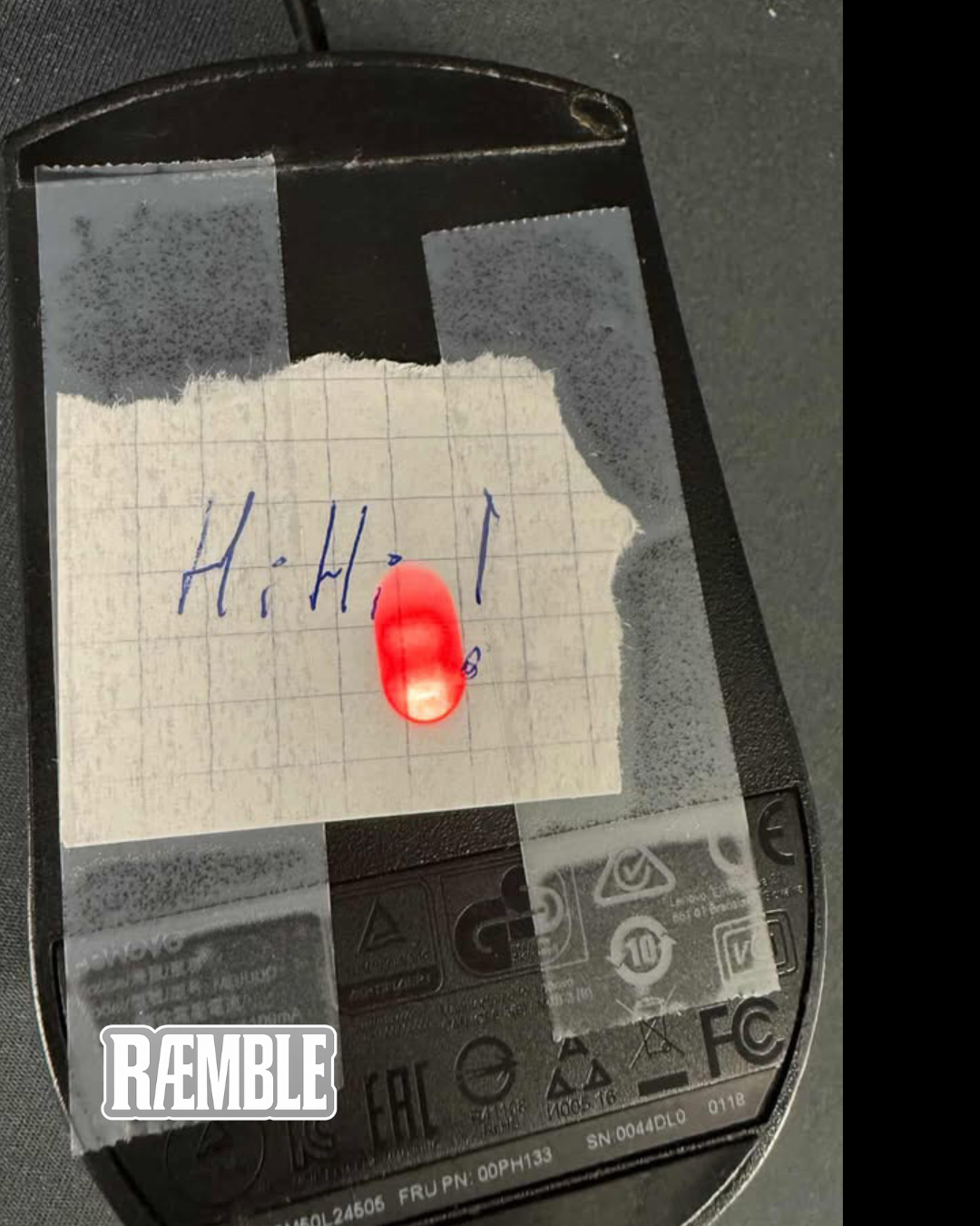 Ræmble: Maggie invites Tendre