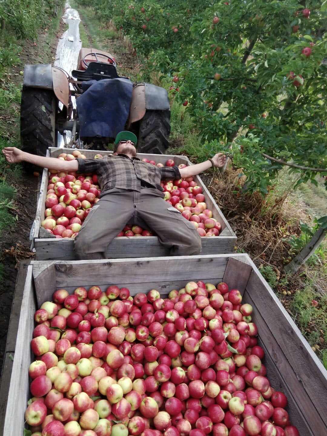 On entre OK, on sort K.O.