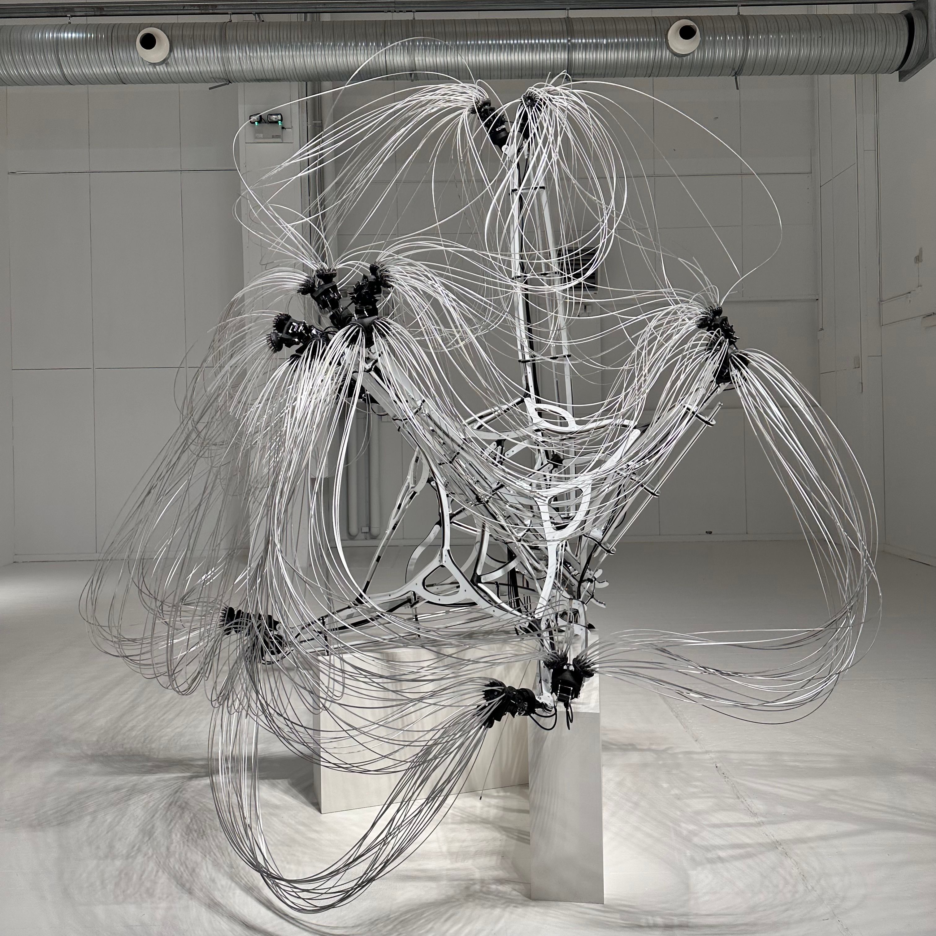 Expansive Sonics w/ GoggleWizard