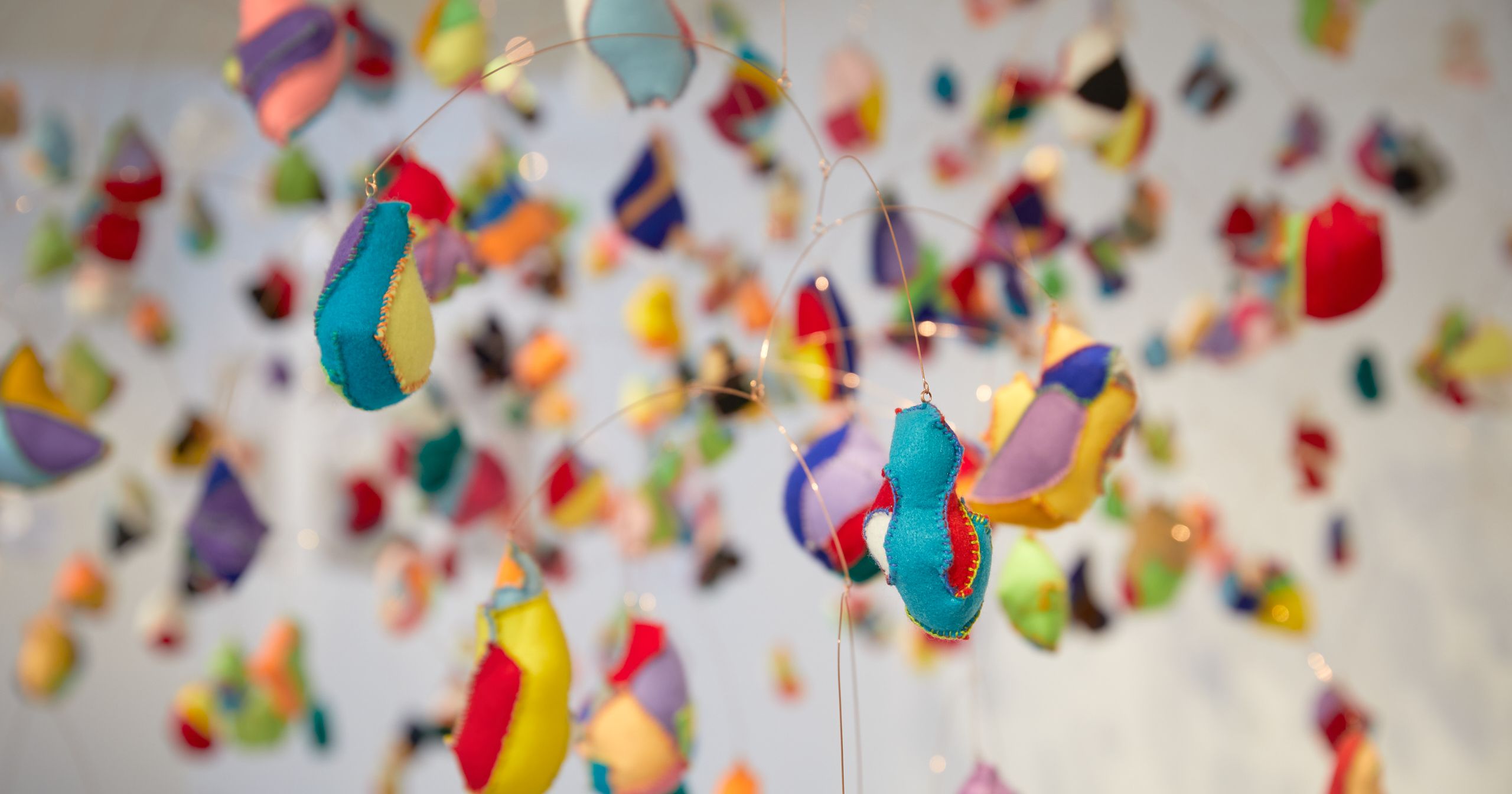 Murray Art Museum Albury (MAMA) Overview