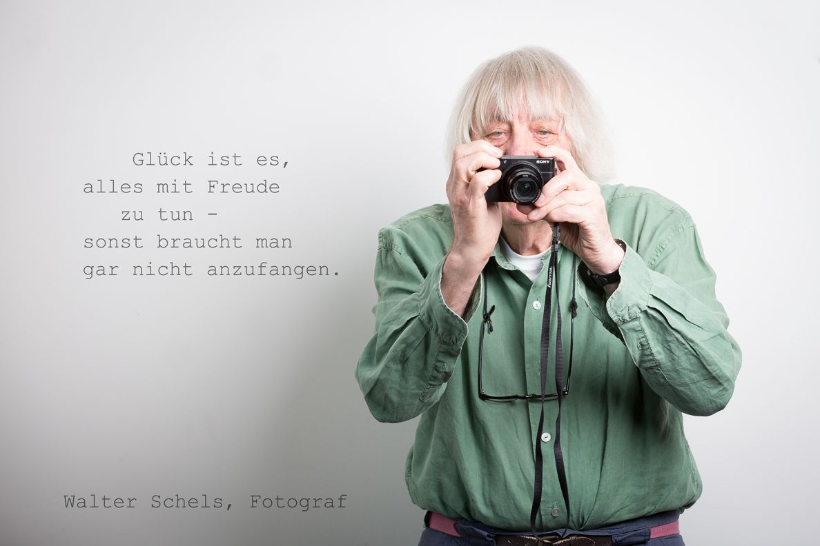 Galerie Bild