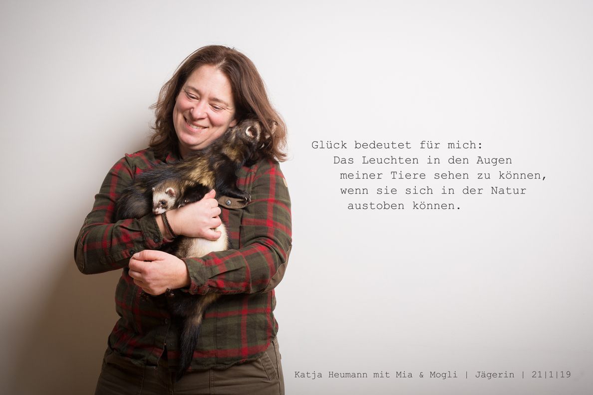Galerie Bild