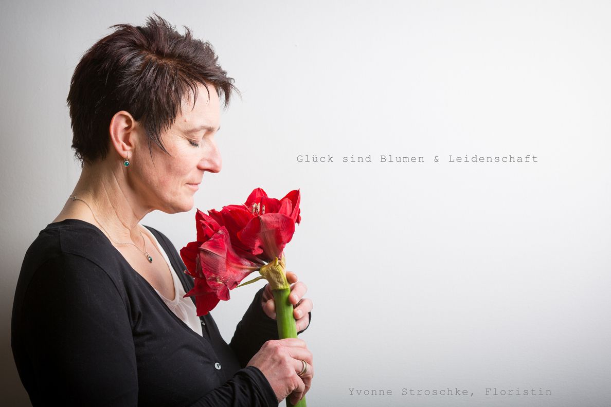 Galerie Bild