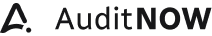 AuditNow
