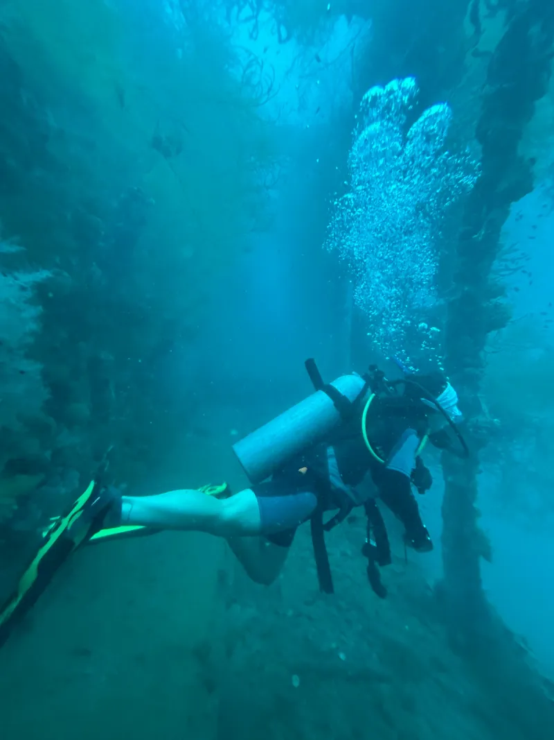 Moalboal, Malapascua & Coron - Foto 7