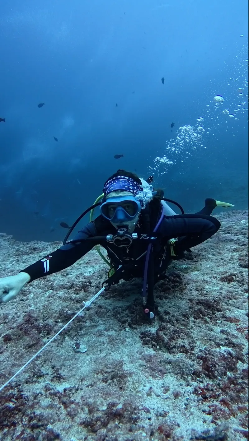 Maratua: Mantas, Medusas & Tiburones Ballena - Foto 19