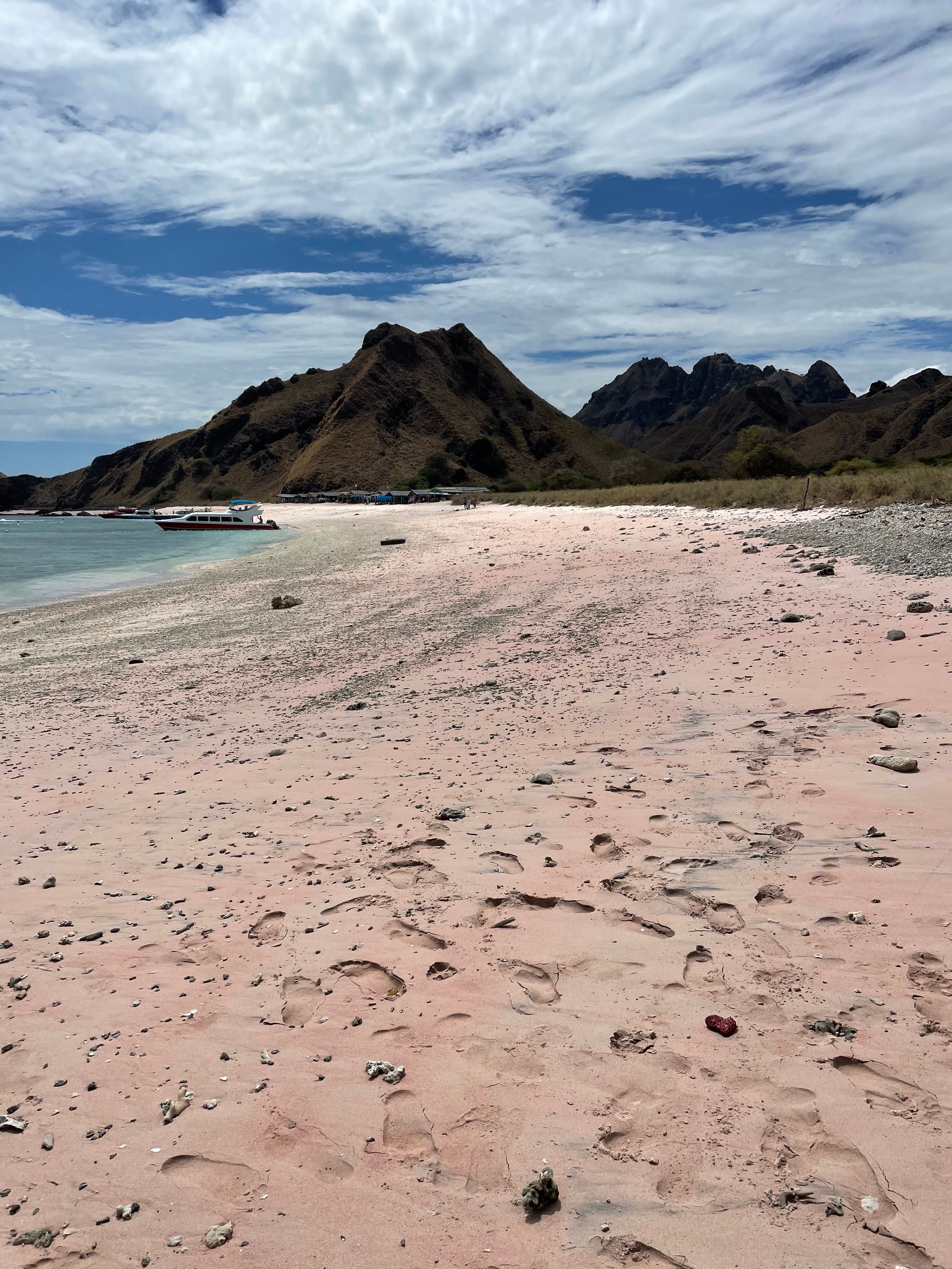 Komodo: Dragones & Mantas - Foto 5