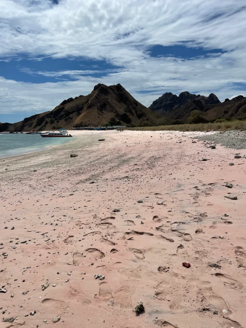 Komodo: Dragones & Mantas - Foto 6