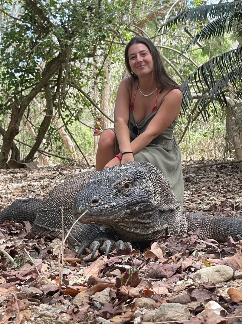 Komodo: Dragones & Mantas - Foto 4