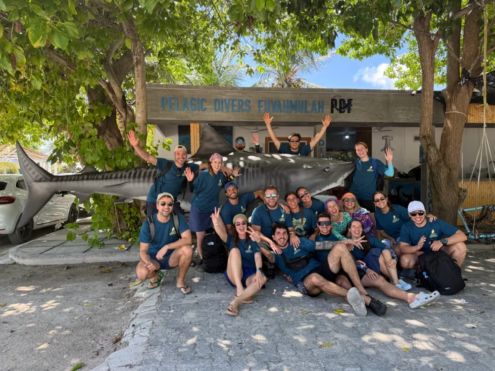 Viajeros de Aleta Amarilla compartiendo una aventura de buceo