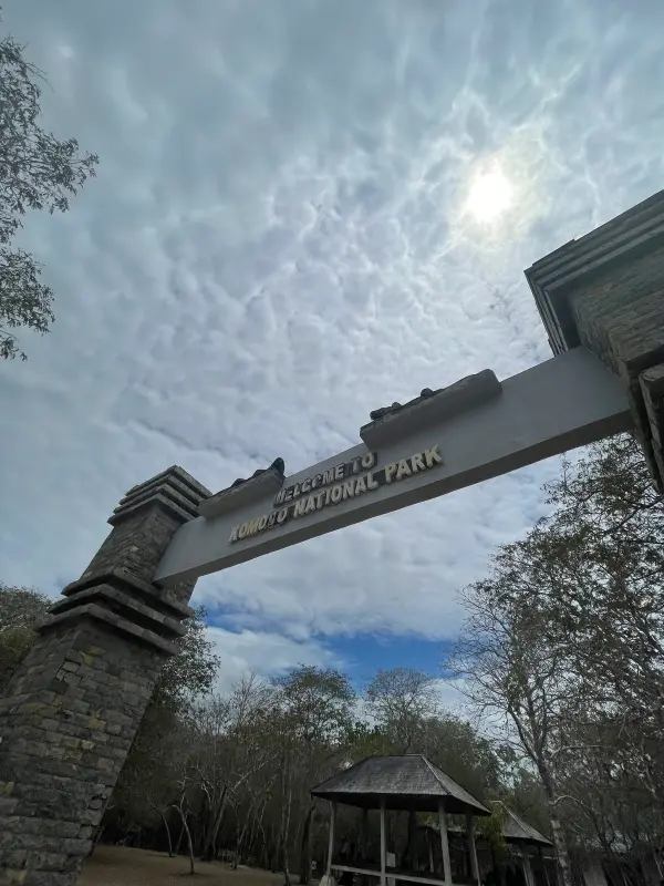 Komodo: Dragones & Mantas - Galería 4