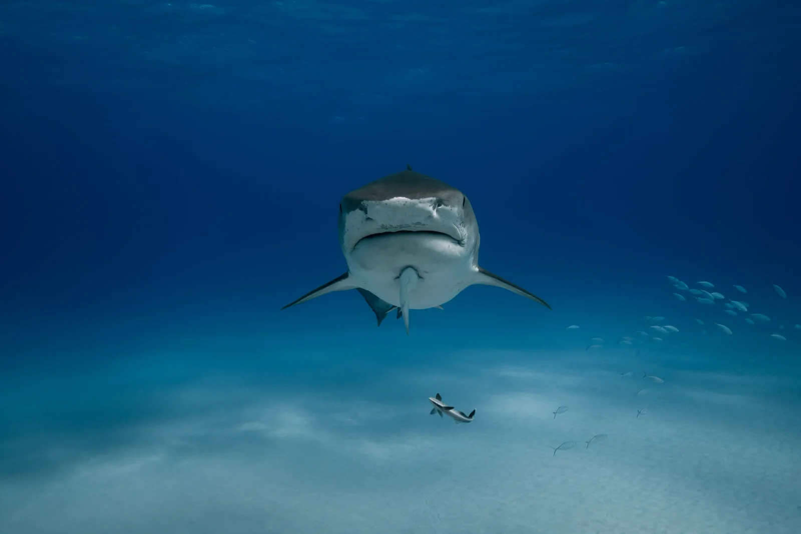 Fuvahmulah: Más allá de las Maldivas de postal