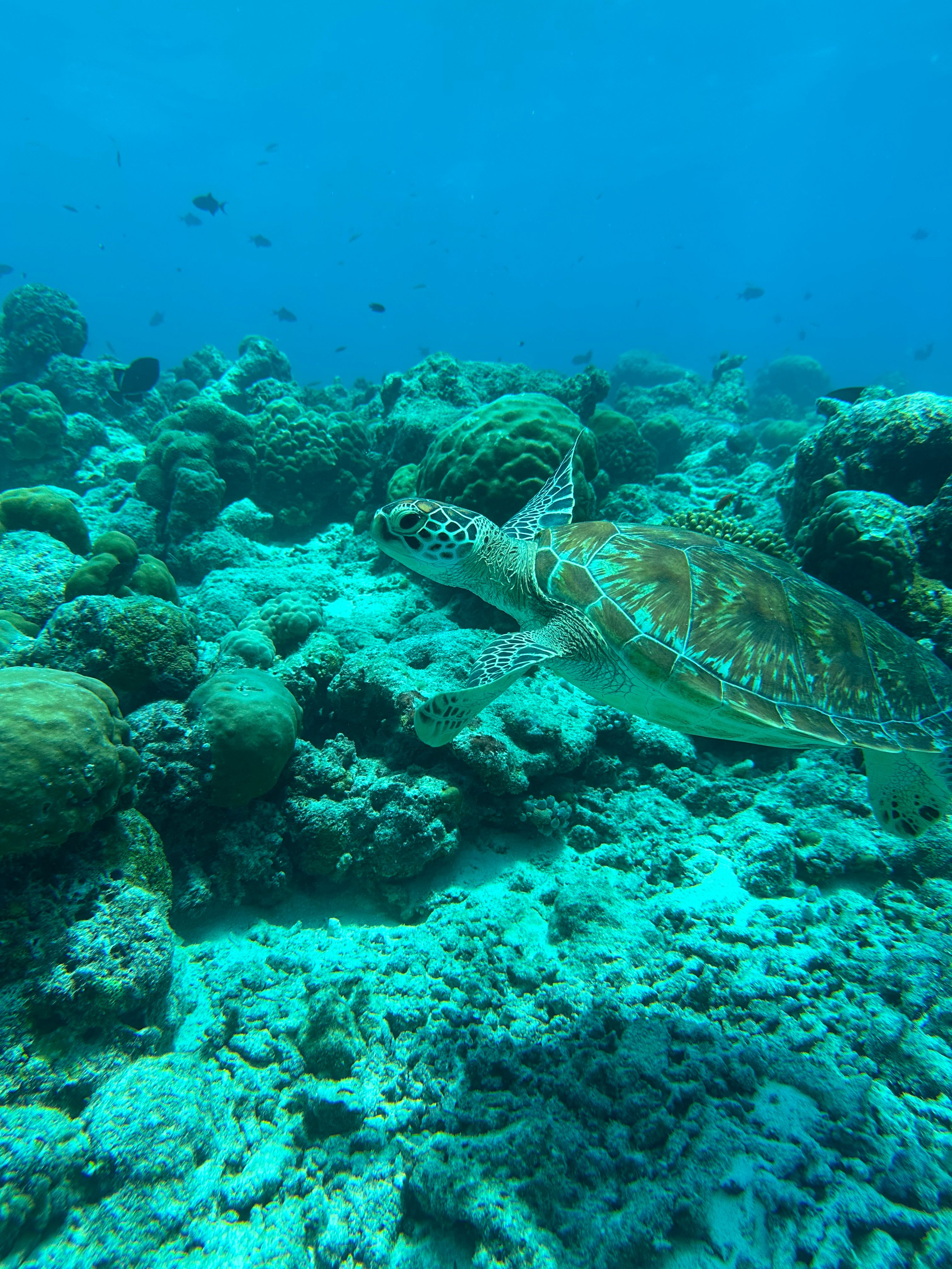 Fuvahmulah - Foto 11