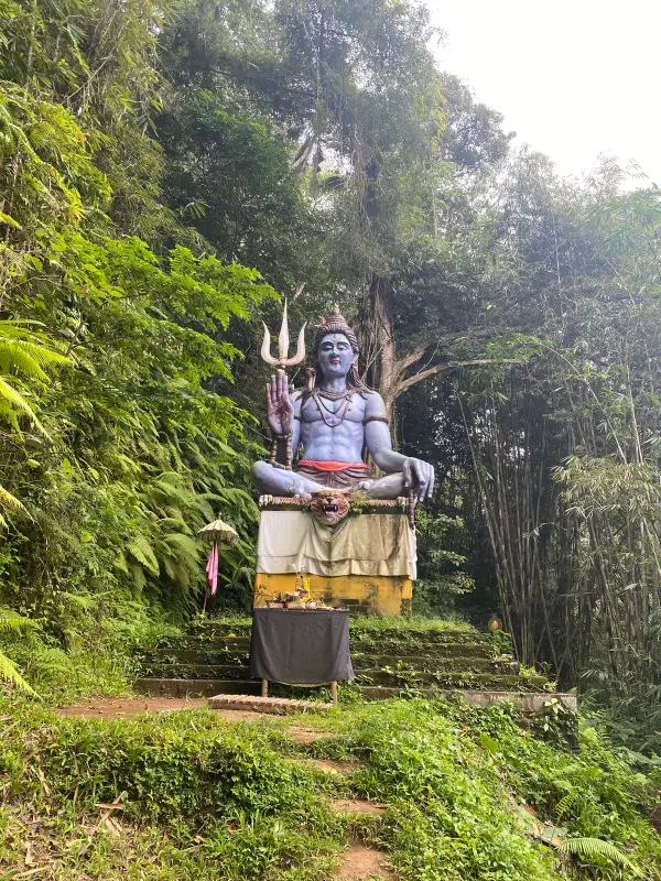 Bali & Penida: Volcanes & Mantas - Galería 2