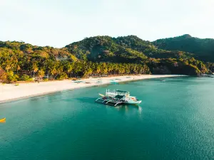 Moalboal, Malapascua & Coron