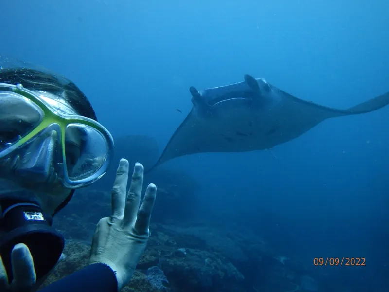 Komodo: Dragones & Mantas - Foto 3