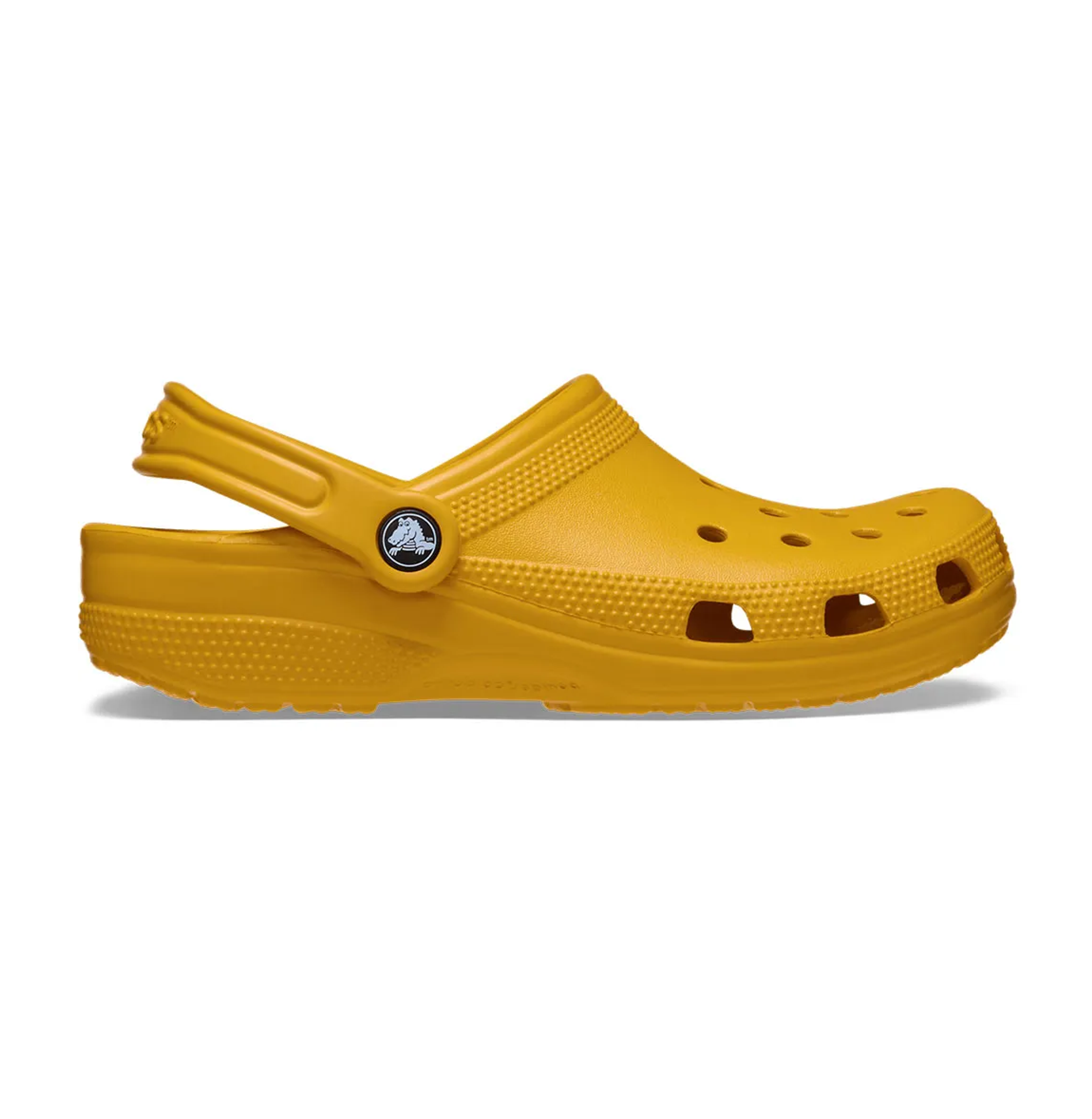 Crocs Classic Clog (Satirical page)