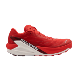 Salomon S/Lab Pulsar 4