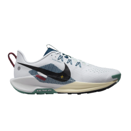 Nike Pegasus Trail 5
