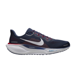 Nike Pegasus 41