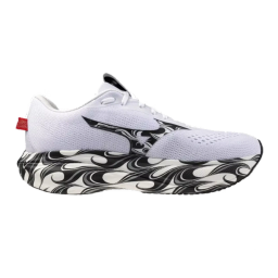 Mizuno Wave Rider 30